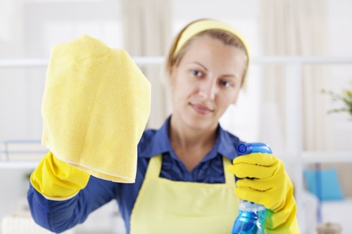 Professional window cleaning in SE11 for a residential property exterior