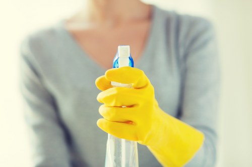 Carpet cleaner preparing to inspect ethical supply chain documents
