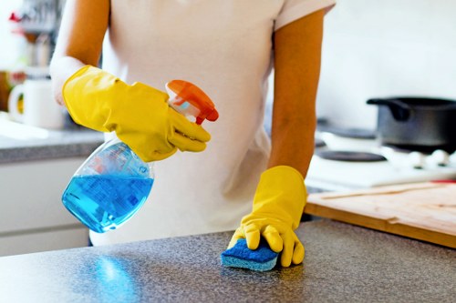 Professional cleaners in SE11 providing home cleaning services
