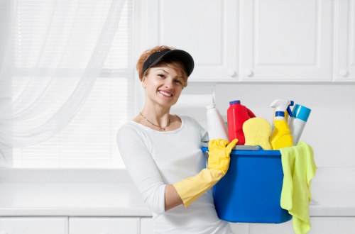 Deep cleaning support for a SE11 home interior