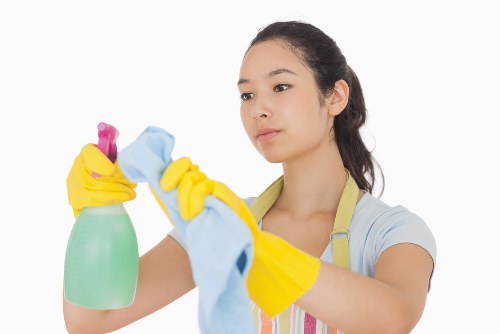 Rug and upholstery cleaning options