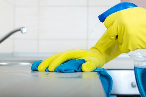 Detailed window cleaning service for a home in SE11