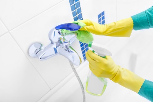 Safe checkout interface for Carpet Cleaners Se11 customers