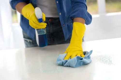 Bathroom cleaning as part of domestic cleaning in SE11