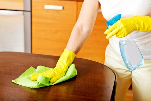 Inspection of a carpet after cleaning to assess an issue